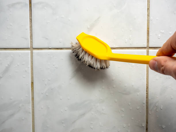 Best Home Mold Removal  in Prces Lakes, IN