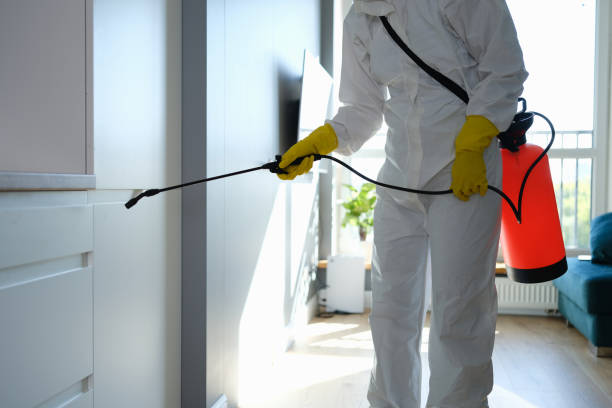 Best Mold Damage Repair  in Prces Lakes, IN