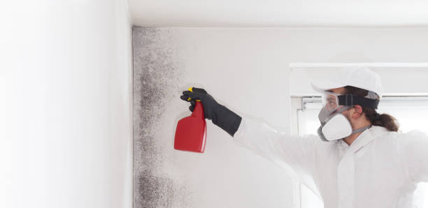 Best Residential Mold Removal  in Prces Lakes, IN