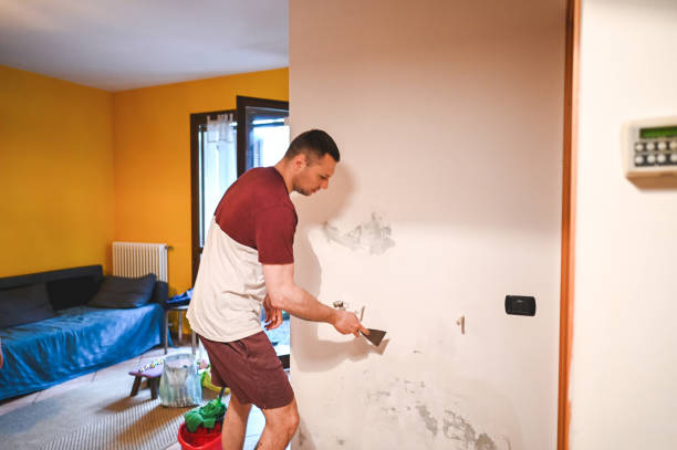 Best Residential Mold Removal  in Prces Lakes, IN